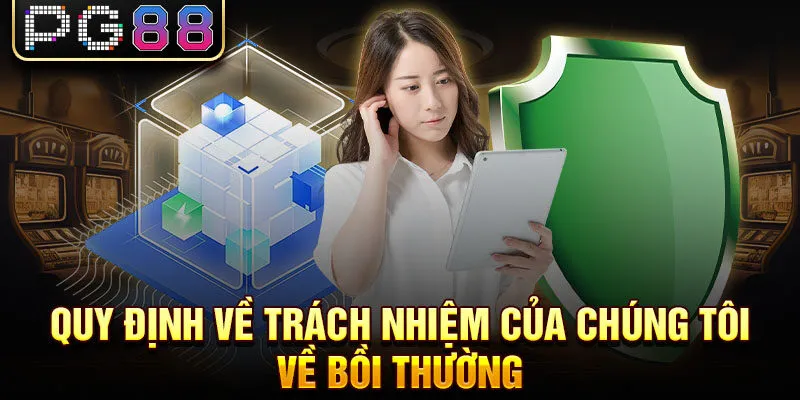 Quy định về trách nhiệm của chúng tôi về bồi thường